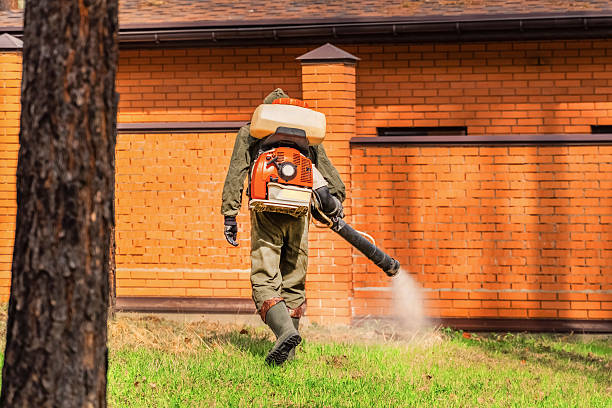 Trusted Cockroach Control service in Ashley, PA - Nex Pest Control